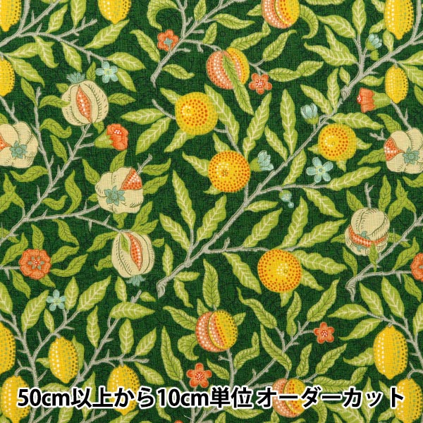 数量5から】 生地 『シーチング V&A フルーツ グリーン VA10017-D