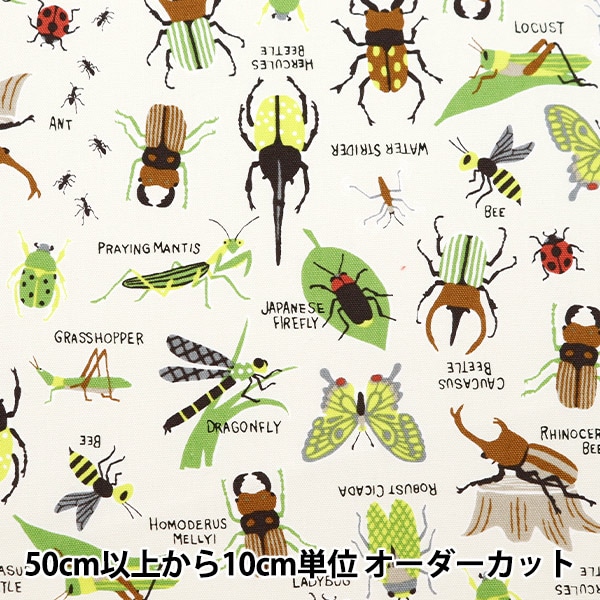 数量5から】 生地 『オックス カラフルキャンバス 昆虫図鑑柄 ホワイト
