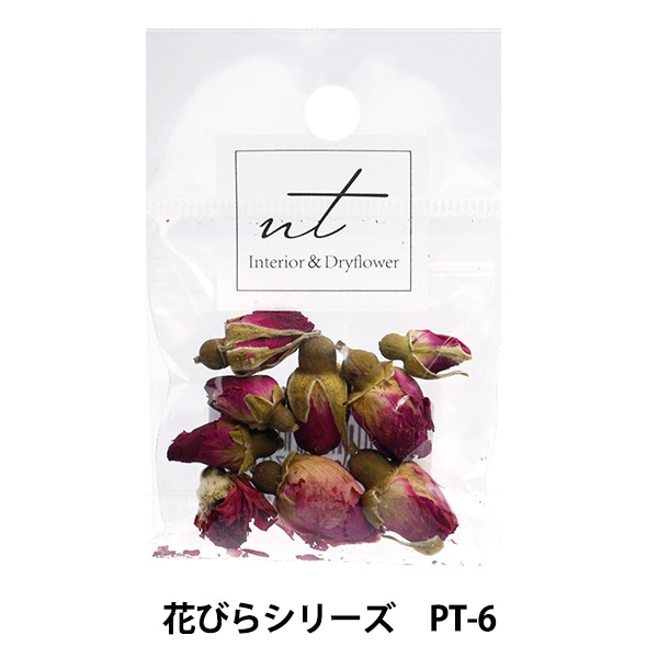 ちぁ〜ん様◇【ドライフラワー】小花つぼみ mix（673 レジン パーツ