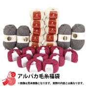 文具 『ディズニー ツイステッドワンダーランド クリアファイル 運動着