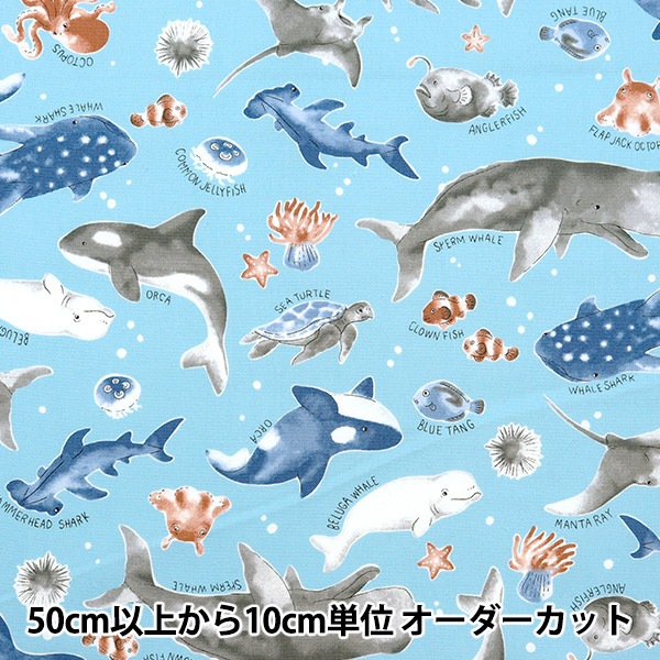 オーダー用生地サンプル 海の生き物　4色 オーダー用生地サンプル 海の生き物 4色