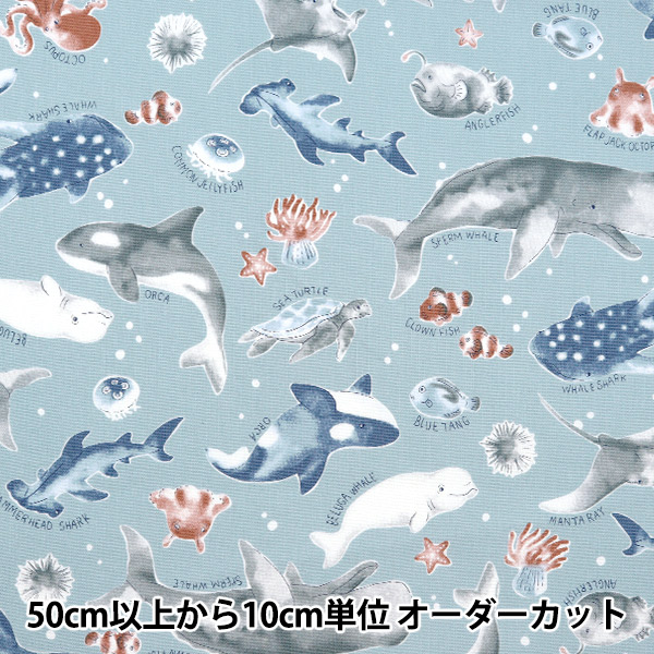 ◎ tete様オーダー専用◎ 海のいきもの　入園入学グッズ　カラフル　海の生き物 b2c37354.png