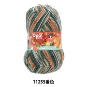 ソックヤーン 毛糸 『ラウクフルスター 4ply 11250番色』 Opal  
