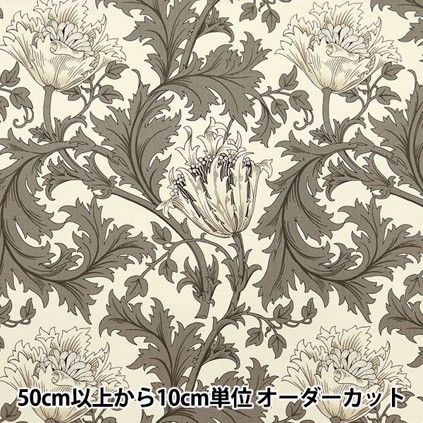 �ڿ���5����� ���� ��MODA BEST OF MORRIS �������� ���ͥ�� 8380-13��