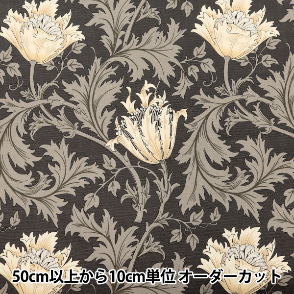 �ڿ���5����� ���� ��MODA BEST OF MORRIS �������� ���ͥ�� 8380-16��