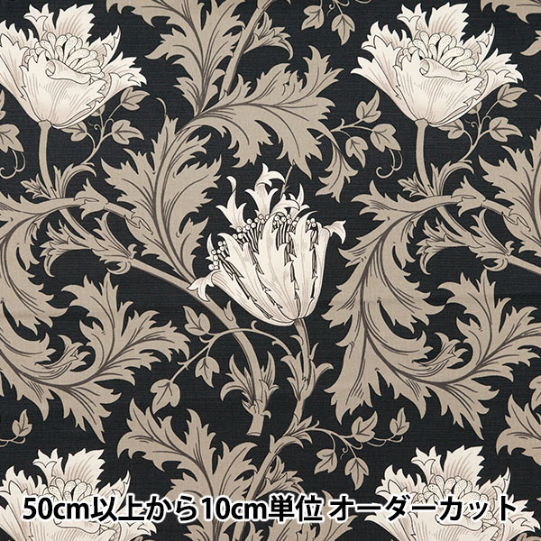 �ڿ���5����� ���� ��MODA BEST OF MORRIS �������� ���ͥ�� 8380-17��