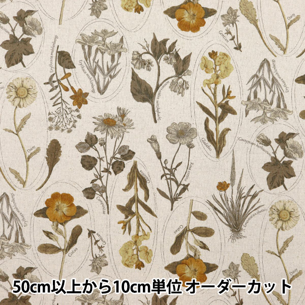 数量5から】 生地 『綿麻キャンバス 植物図鑑柄 ビタミンオレンジ