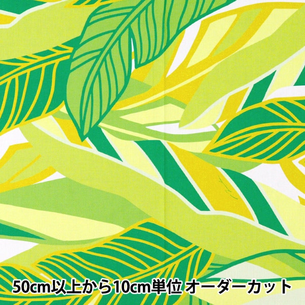ڿ5  إޥʥ T/C ϥ磻ץ Хʥʥ꡼ ꡼YFOP3108