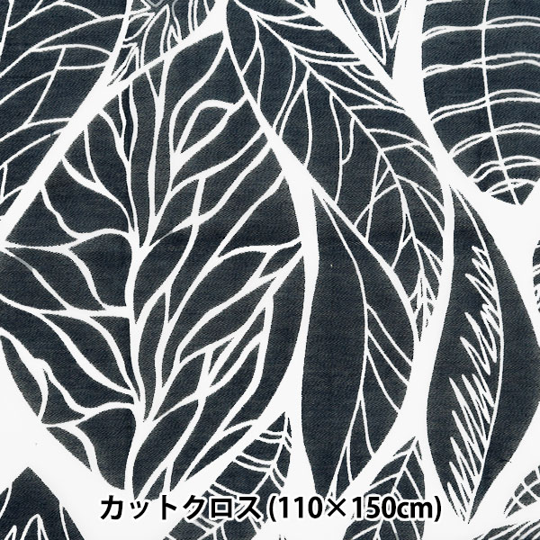 H*p様 オアハカオテロイ 胴切り天 コヨーテ アガベ オアハカオテロイ