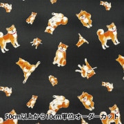 羅王 数量5から】 生地 『フレンチコレクション オックス マカロン柄