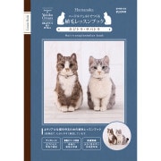 羊毛フェルト猫 サバトラ猫(ロングコート)ブローチ 手芸キットセール】羊毛フェルトキット 『植毛入門キット