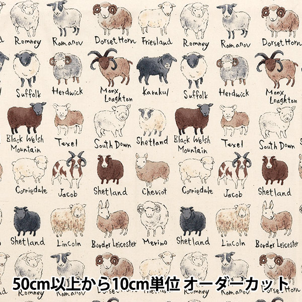 �ڿ���5����� ���� ��NOVA �������� �ӿ޴� �ʥ����� NSE-SHE-NA�� KOKKA ���å� �ڥ楶��䥪�ꥸ�ʥ��