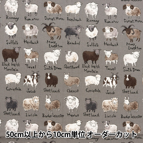 �ڿ���5����� ���� ��NOVA �������� �ӿ޴� ���졼 NSE-SHE-GY�� KOKKA ���å� �ڥ楶��䥪�ꥸ�ʥ��