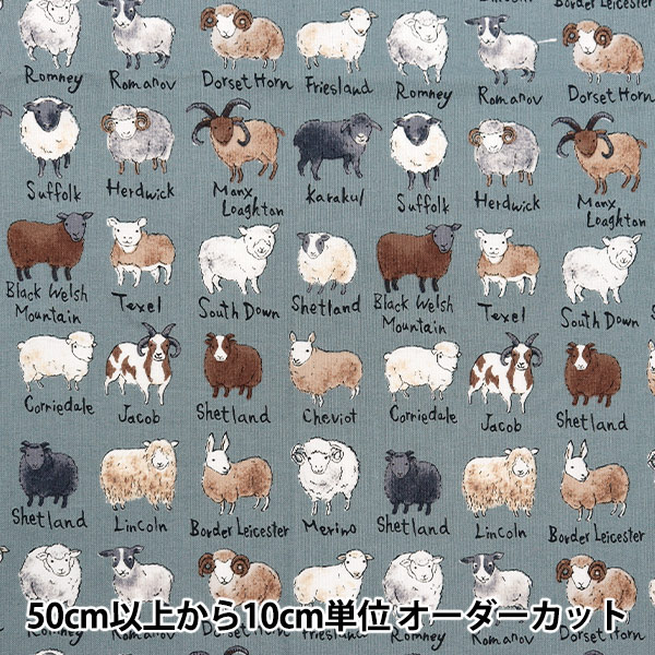 �ڿ���5����� ���� ��NOVA �������� �ӿ޴� �֥롼���졼 NSE-SHE-BGY�� KOKKA ���å� �ڥ楶��䥪�ꥸ�ʥ��