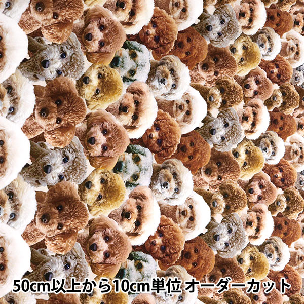 数量5から】 生地 『シーチングインク ジェットプリント トイプードル