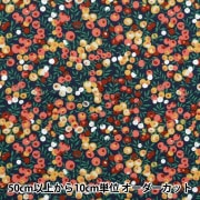 数量5から】 生地 『LIBERTY リバティプリント 11号帆布