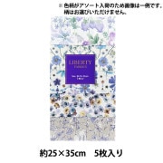未使用タグ付✨テチチ×リバティ LIBERTYリバティタナローン花柄ブラウス 数量5から】 生地 『リバティ・ファブリックス タナローン