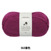 ソックヤーン 『NOVITA 7BROTHERS CLASSIC COLLECTION 170番色