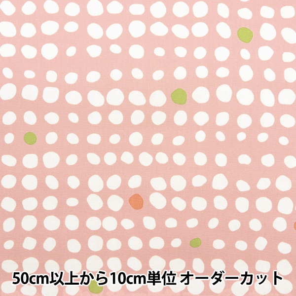 AQUA CROSS ブルーボア抱卵　珍柄縦ラインが　土日発送限定