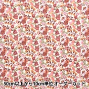 画用紙 『サンフラワーペーパー M画 A3』 muse ミューズ すべての商品