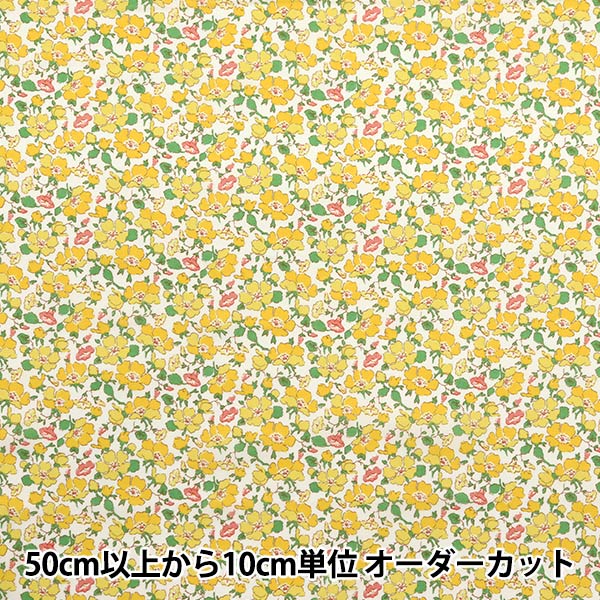 ミントグリーンにねじり梅のだらりの帯 凍らせて食べる越の梅 「青梅氷り」 9個セット 化粧箱入 新潟の地酒