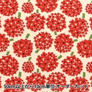 グルーデコ　バキューム&モルドセット グルーデコ バキューム モルド セット