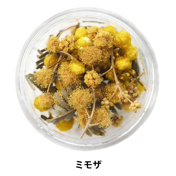 レジン材料 『Mimoza ミモザ』 SMint エスミント ビーズ,レジン,封入