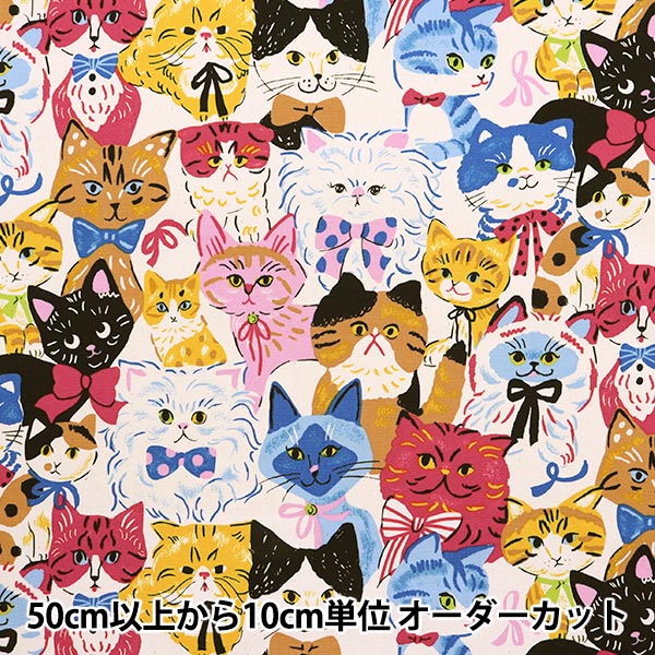 数量5から】 生地 『オックス パワフルアニマル 猫 キナリ YGA-76080