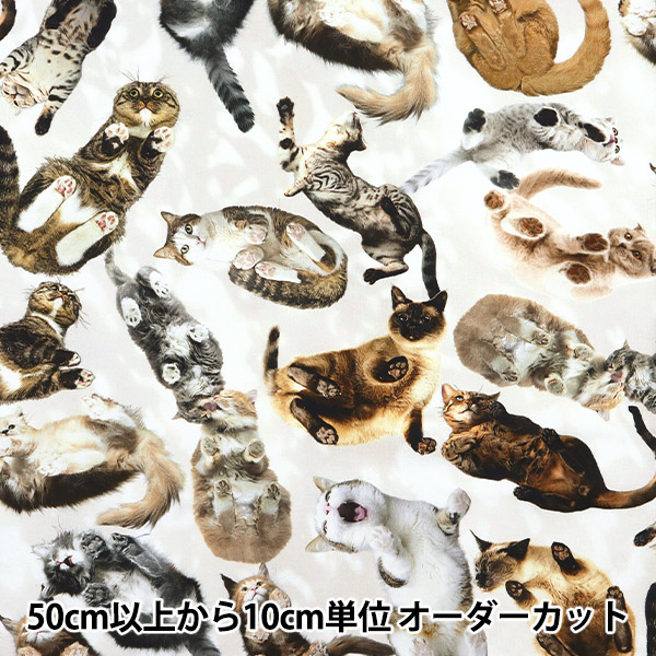 数量5から】 生地 『デジタルプリント ミンスイ ねこ mingswim012