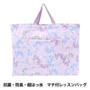 既製品 『入園入学5点セット完成品 (レッスンバッグ シューズ