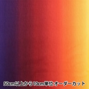 グラデーションボデイ L】【ウォッシャブル】ボーダーグラデーションプリントプル