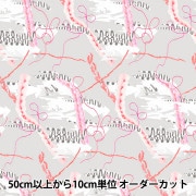 数量5から】 生地『echino(エチノ) スタンダード Bond 綿麻キャンバス