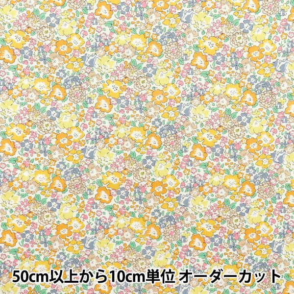 Mitchell] Liberty 5'6″ul limited Edition | 北海道