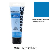 絵具 『バリューシリーズ アクリルカラー 75ml フェニックス