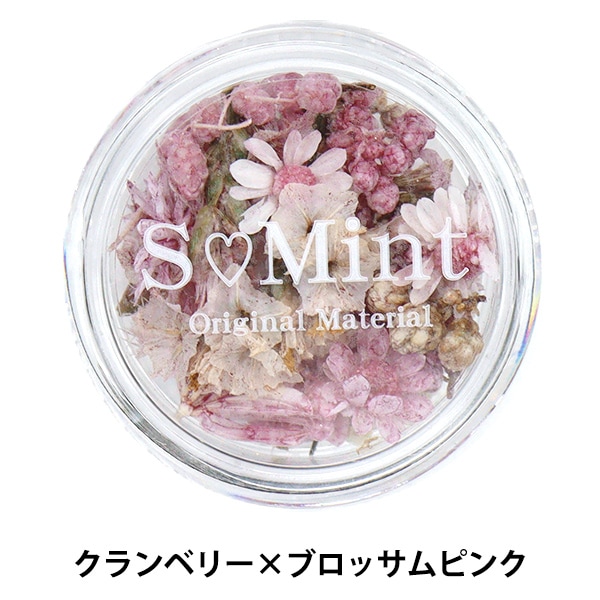レジン材料 『ドライフラワー フルレット シリーズ2 クランベリー