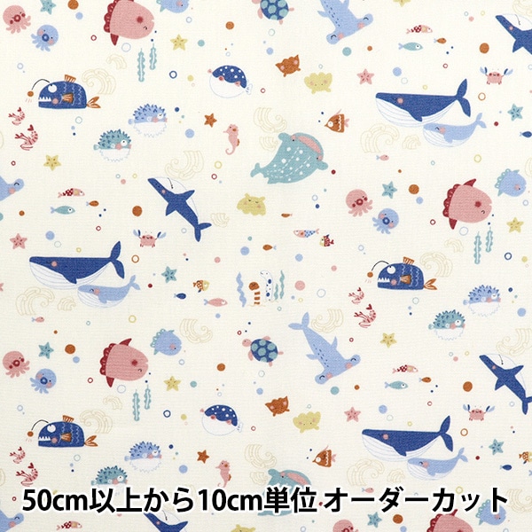 トゥラウゴット・シース　山の牧草地　図録・レゾネより　額付 令和7年産 国産 やみつきチモシー 100g 牧草 うさぎ モルモット