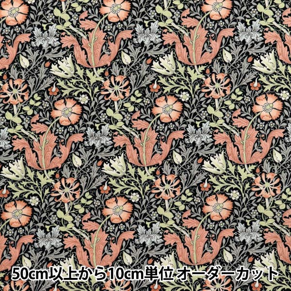 �ڿ���5����� ���� ��V&A �������� ����ץȥ� YU70004-E��