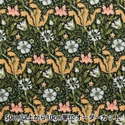 数量5から】 生地 『MODA BEST OF MORRIS シーチング コンプトン