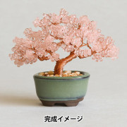 �ӡ������å� �إͥ��å�BONSAI���å� �� HCA30//3�� MIYUKI �ߥ業