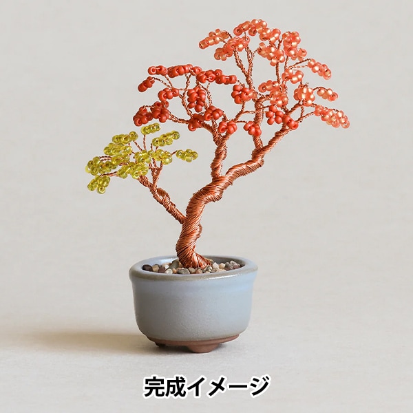 ӡå إͥåBONSAIå  HCA30//5 MIYUKI ߥ業