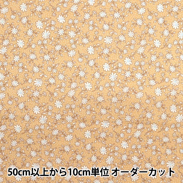 �ڿ���5����� ���� �إ����� �ۡ��ߡ��������� ���������� ���ե�� HS10502-B��
