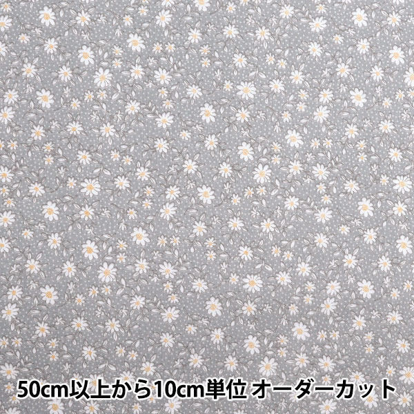 �ڿ���5����� ���� �إ����� �ۡ��ߡ��������� ���������� ���졼 HS10502-E��