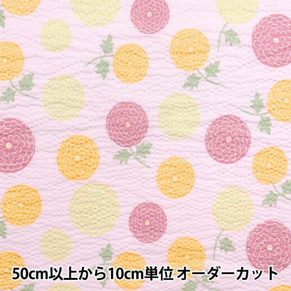 ڿ5  إåץ ɤΤܥ꡼ ݤݤ ԥ ECB-54-P KIYOHARA 