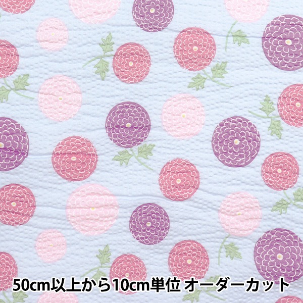 ڿ5  إåץ ɤΤܥ꡼ ݤݤ ֥롼 ECB-54-BL KIYOHARA 