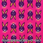 数量5から】 生地 『オックス レンゲ うさぎ ブルー 7076-2D』 生地