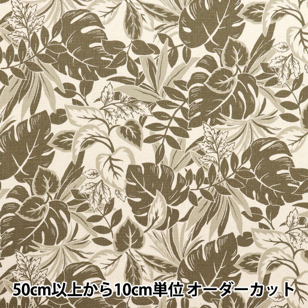 ڿ5  إץڥ ꥾ ñդä ʥߥ֥饦 YGA-81010-2B KOKKA å