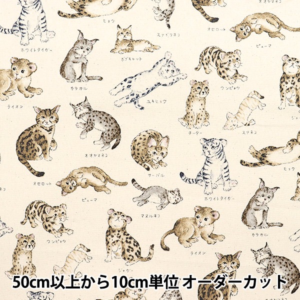 数量5から】 生地 『オックス 図鑑シリーズ 猫科 YPA-61000-1A』 KOKKA