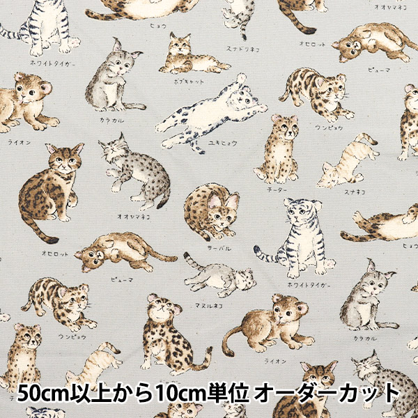 数量5から】 生地 『オックス 図鑑シリーズ 猫科 YPA-61000-1D』 KOKKA