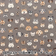 数量5から】 生地 『スケア プリント 柴犬 赤 SQFFSHIBA-B』 生地,柄