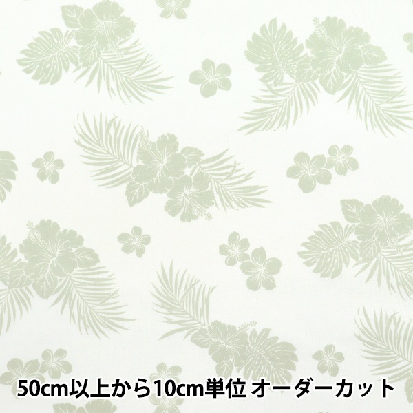 ڿ5  TC ϥ磻ץ ϥӥ ꡼ AP4770-1A